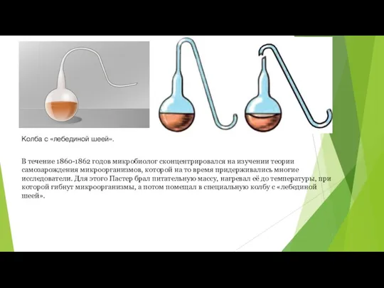 Колба с «лебединой шеей». В течение 1860-1862 годов микробиолог сконцентрировался