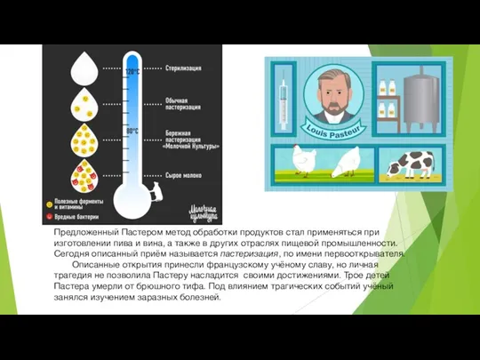 Предложенный Пастером метод обработки продуктов стал применяться при изготовлении пива