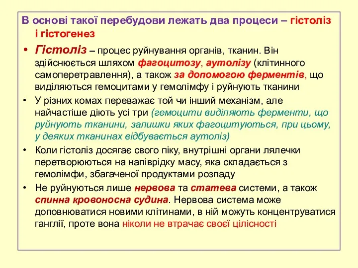 В основі такої перебудови лежать два процеси – гістоліз і