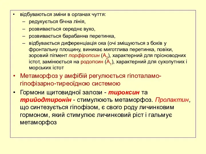 відбуваються зміни в органах чуття: редукується бічна лінія, розвивається середнє