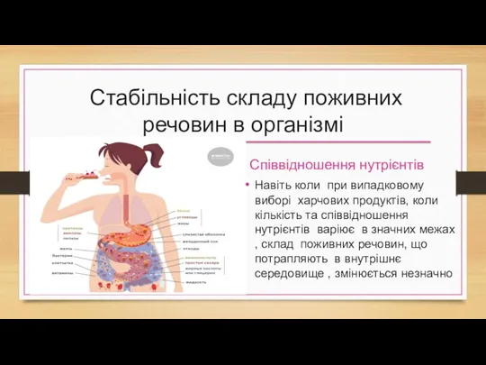 Стабільність складу поживних речовин в організмі Співвідношення нутрієнтів Навіть коли