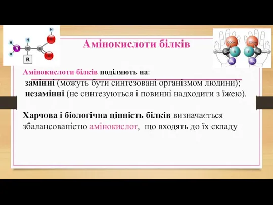 Амінокислоти білків Амінокислоти білків поділяють на: замінні (можуть бути синтезовані