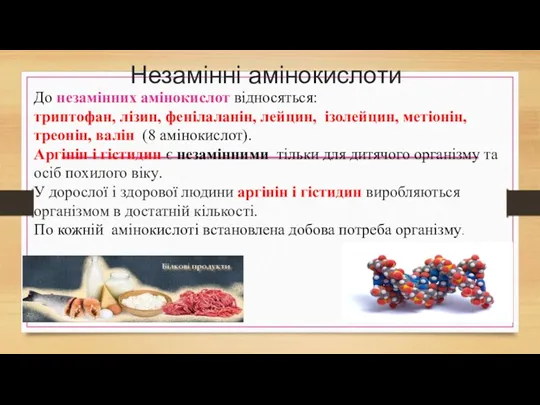 Незамінні амінокислоти До незамінних амінокислот відносяться: триптофан, лізин, фенілаланін, лейцин,