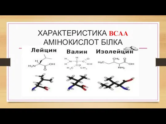 ХАРАКТЕРИСТИКА BCAA АМІНОКИСЛОТ БІЛКА