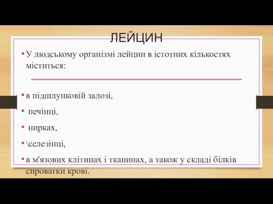 ЛЕЙЦИН У людському організмі лейцин в істотних кількостях міститься: в