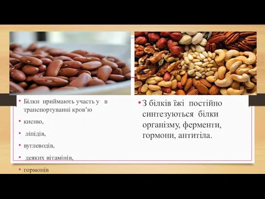 Білки приймають участь у в транспортуванні кров’ю кисню, ліпідів, вуглеводів,