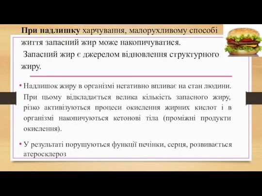 При надлишку харчування, малорухливому способі життя запасний жир може накопичуватися.