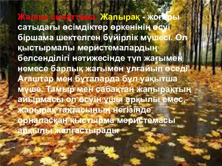 Жалпы сипаттама. Жапырақ - жоғары сатыдағы өсімдіктер өркенінің өсуі біршама