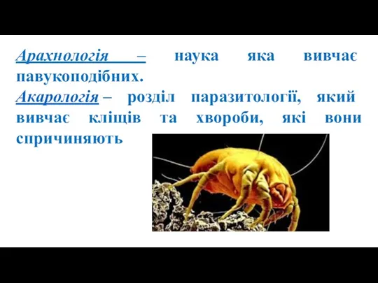Арахнологія – наука яка вивчає павукоподібних. Акарологія – розділ паразитології, який вивчає кліщів