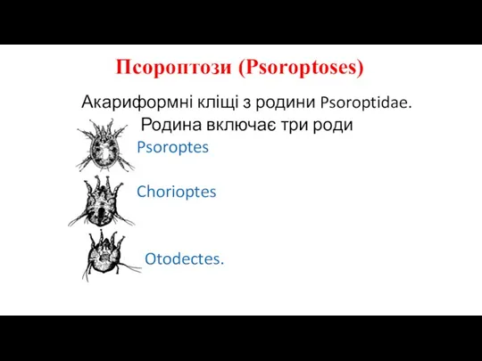 Акариформні кліщі з родини Psoroptidae. Родина включає три роди Psoroptes Chorioptes Otodectes. Псороптози (Psoroptoses)