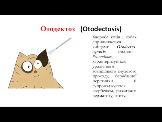 Отодектоз (Otodectosis) Хвороба котів і собак спричиняється кліщами Otodectes cynotis родини Psoroptidae, характеризується