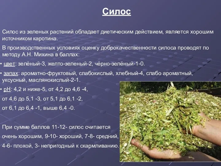 Силос Силос из зеленых растений обладает диетическим действием, является хорошим