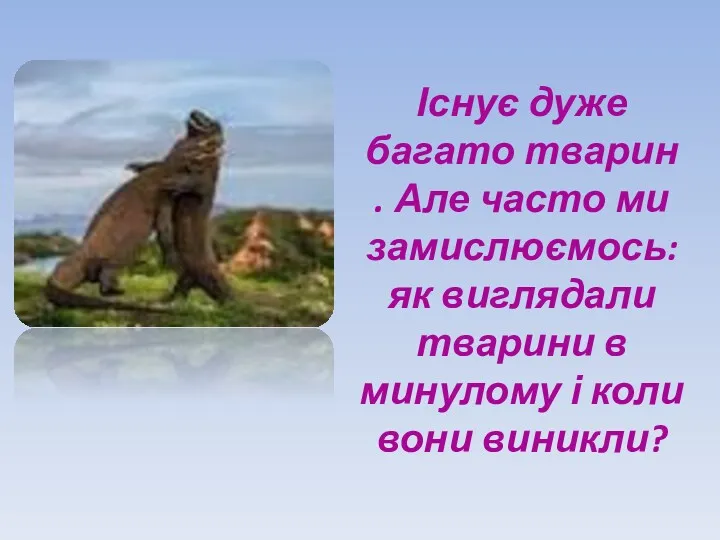 Існує дуже багато тварин . Але часто ми замислюємось: як