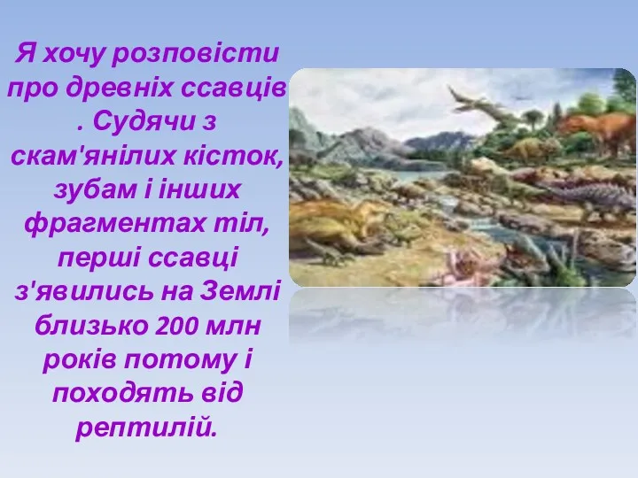 Я хочу розповісти про древніх ссавців . Судячи з скам'янілих