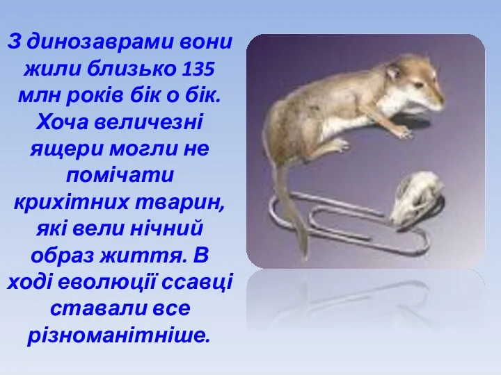 З динозаврами вони жили близько 135 млн років бік о
