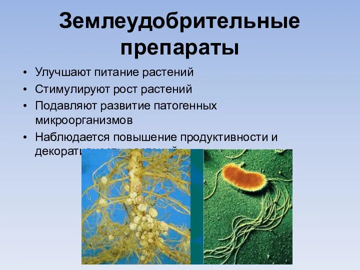 Землеудобрительные препараты Улучшают питание растений Стимулируют рост растений Подавляют развитие