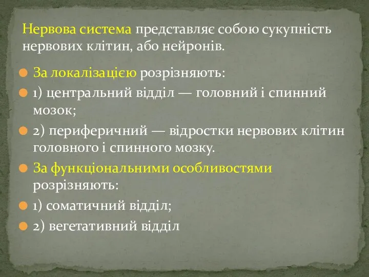 За локалізацією розрізняють: 1) центральний відділ — головний і спинний