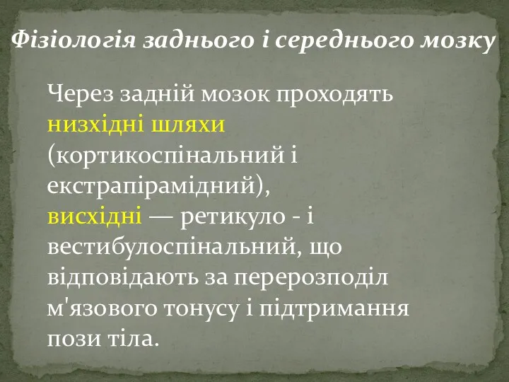 Фізіологія заднього і середнього мозку Через задній мозок проходять низхідні