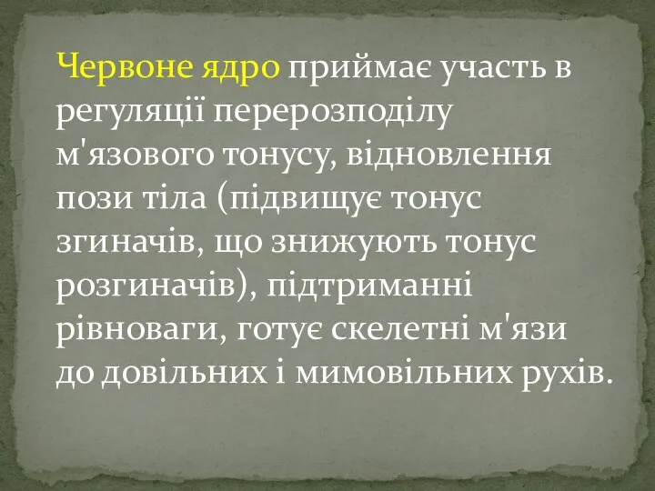 Червоне ядро приймає участь в регуляції перерозподілу м'язового тонусу, відновлення