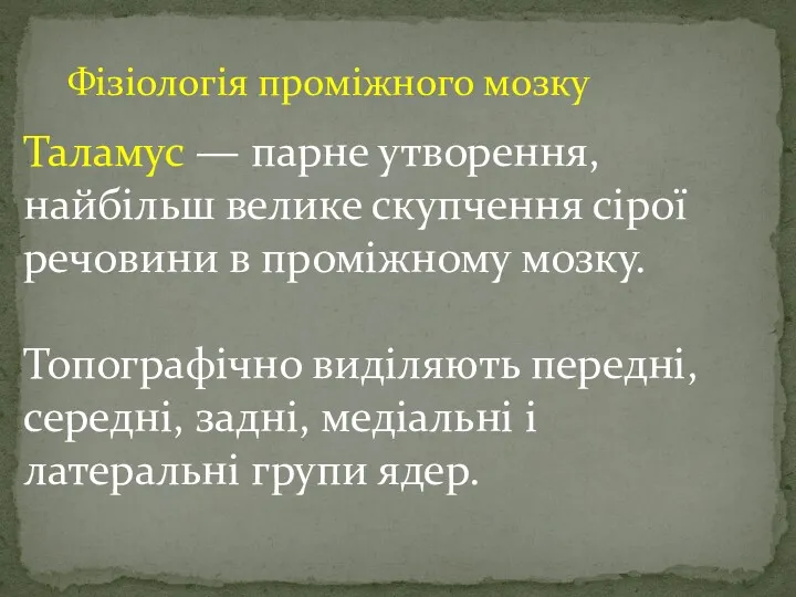 Фізіологія проміжного мозку Таламус — парне утворення, найбільш велике скупчення