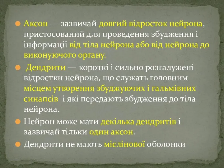 Аксон — зазвичай довгий відросток нейрона, пристосований для проведення збудження