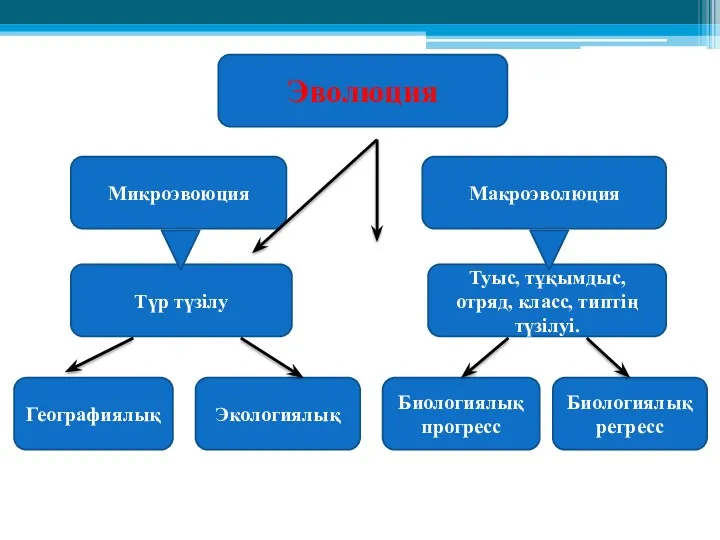 Эволюция Микроэвоюция Макроэволюция Түр түзілу Туыс, тұқымдыс, отряд, класс, типтің