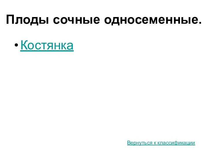 Плоды сочные односеменные. Костянка Вернуться к классификации