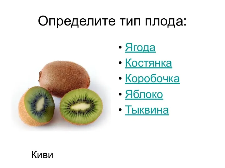 Определите тип плода: Ягода Костянка Коробочка Яблоко Тыквина Киви