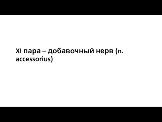 XI пара – добавочный нерв (n. accessorius)