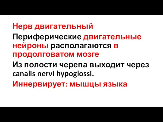 Нерв двигательный Периферические двигательные нейроны располагаются в продолговатом мозге Из