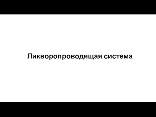 Ликворопроводящая система