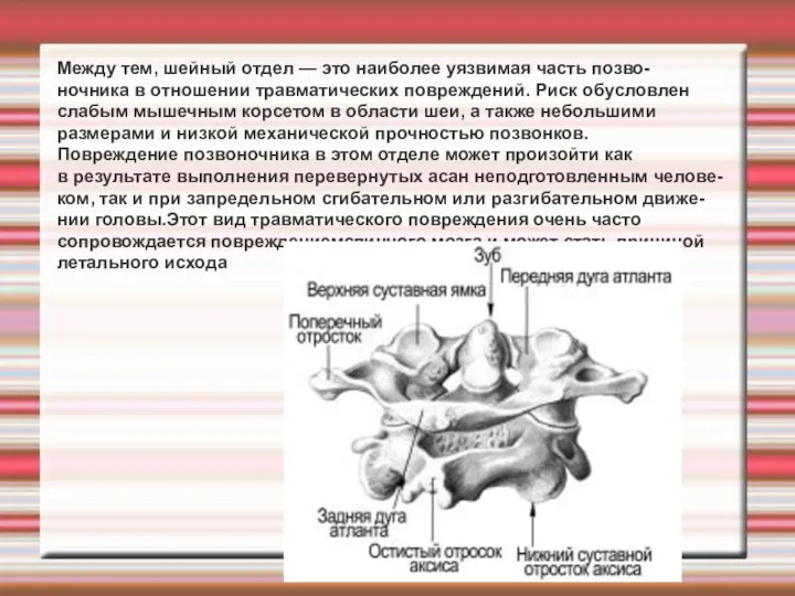 Между тем, шейный отдел — это наиболее уязвимая часть позво-
