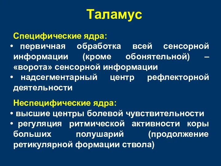 Таламус Специфические ядра: первичная обработка всей сенсорной информации (кроме обонятельной)