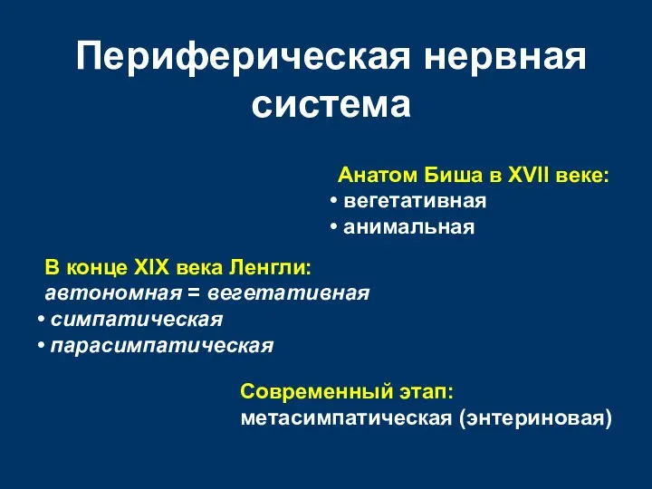 Периферическая нервная система Анатом Биша в XVII веке: вегетативная анимальная