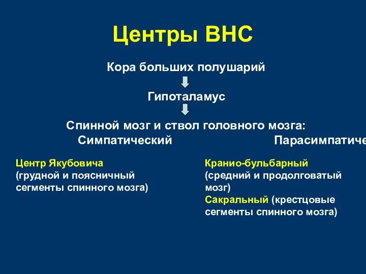 Центры ВНС Кора больших полушарий Гипоталамус Спинной мозг и ствол