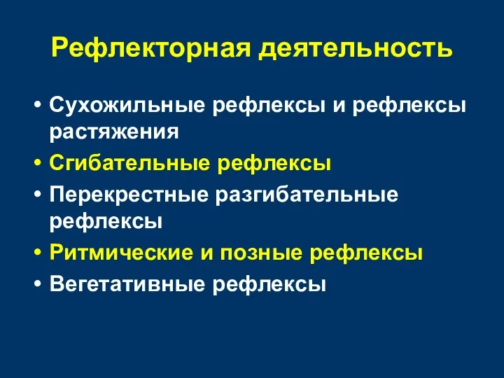 Рефлекторная деятельность Сухожильные рефлексы и рефлексы растяжения Сгибательные рефлексы Перекрестные