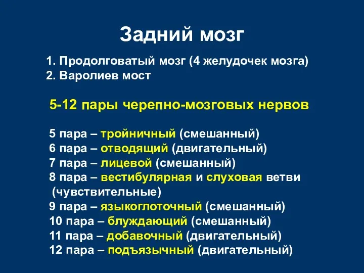 Задний мозг 1. Продолговатый мозг (4 желудочек мозга) 2. Варолиев