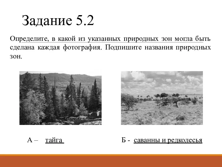 Задание 5.2 Определите, в какой из указанных природных зон могла