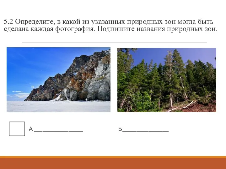 5.2 Определите, в какой из указанных природных зон могла быть