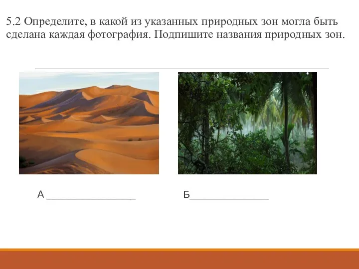 5.2 Определите, в какой из указанных природных зон могла быть