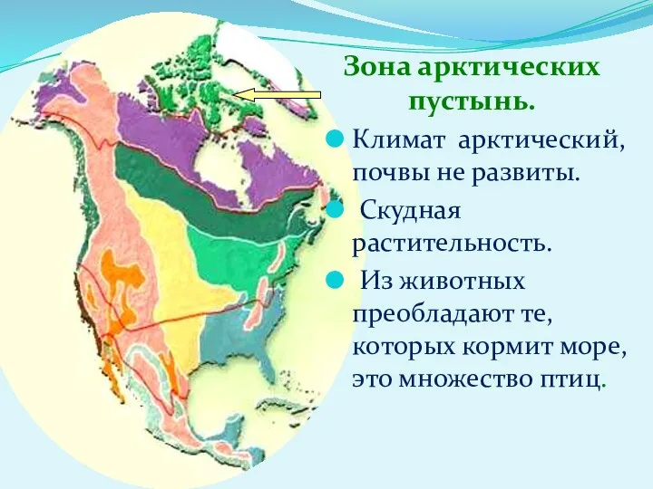 Климат арктический, почвы не развиты. Скудная растительность. Из животных преобладают