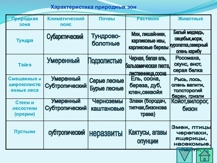 Характеристика природных зон Субарктический Умеренный Умеренный Субтропический Умеренный Субтропический Тундрово-