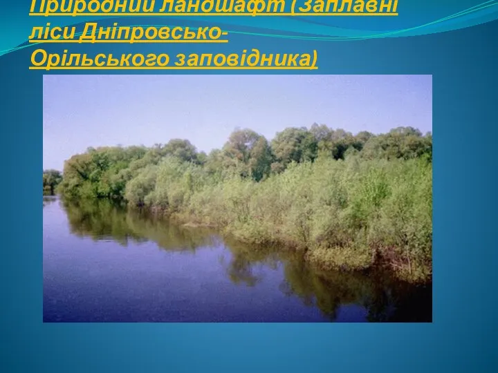 Природний ландшафт (Заплавні ліси Дніпровсько-Орільського заповідника)