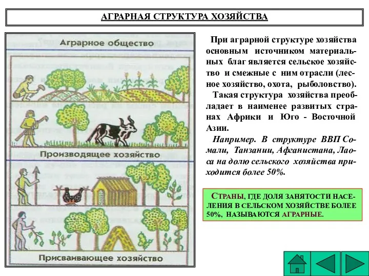 АГРАРНАЯ СТРУКТУРА ХОЗЯЙСТВА При аграрной структуре хозяйства основным источником материаль-