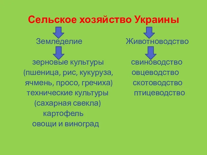 Сельское хозяйство Украины Земледелие Животноводство зерновые культуры свиноводство (пшеница, рис,