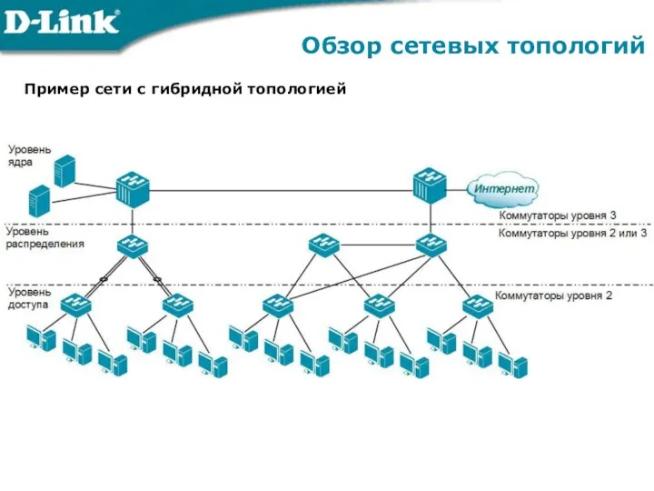 Обзор сетевых топологий Пример сети с гибридной топологией