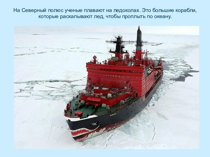 На Северный полюс ученые плавают на ледоколах. Это большие корабли,