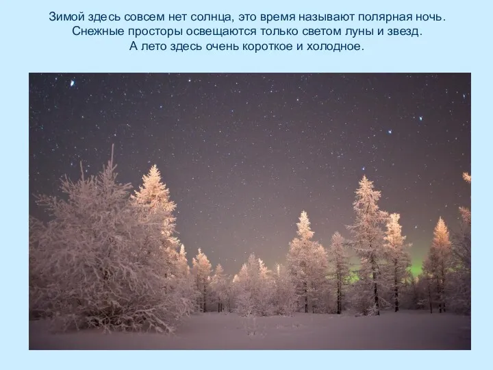 Зимой здесь совсем нет солнца, это время называют полярная ночь. Снежные просторы освещаются