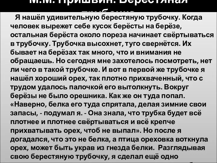 М.М. Пришвин. Берестяная трубочка Я нашёл удивительную берестяную трубочку. Когда