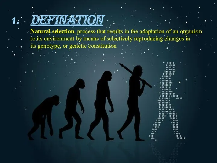 DEFINATION Natural selection, process that results in the adaptation of